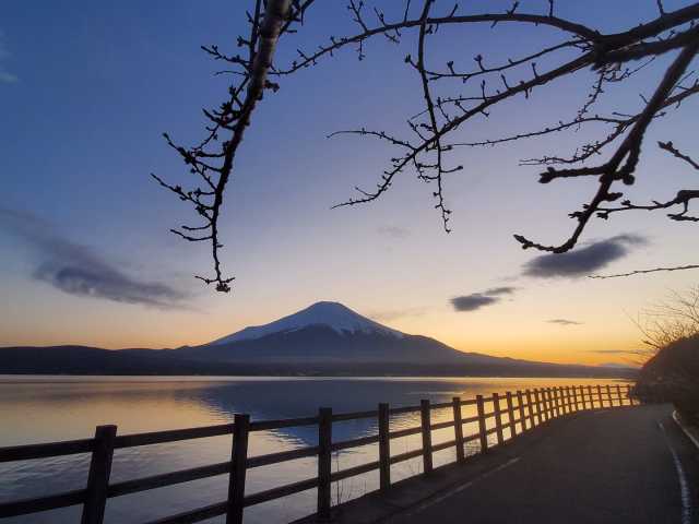 山中湖に住んでいます。